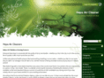hepaaircleaner.org