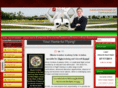 illinoisaviation.com