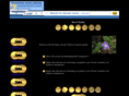 bebailey.com