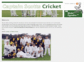 captainscottscricket.com