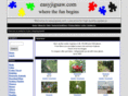 easyjigsaw.com