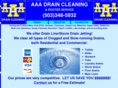 theaaadraincleaning.com