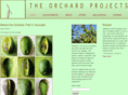 theorchardprojects.com