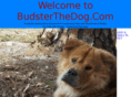 budsterthedog.com