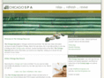 thechicagospa.com