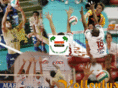 volleylux.com