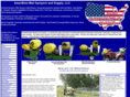 ameribestsprayers.com