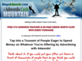 megaadwords.com
