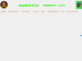 villageras.com