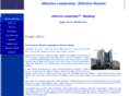 leadershipoptions.com