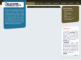 scanconsulting.net