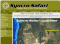 syncrosafari.com