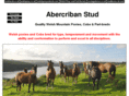 abercriban.com