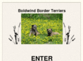 boldwind-border-terriers.com