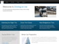 drivingonice.net