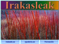 irakasleak.es