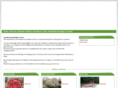 kleinhesselink.com