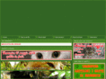 mondogattosandonato.com