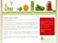 cinasconsultores.cl