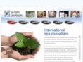 spa-consultant.com