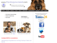 thedogyouneed.com