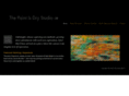 thepaintisdrystudio.com