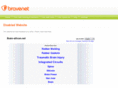brain-silicon.net