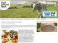 realislandfood.co.uk