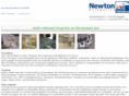 rfidconveyors.com