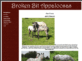 brokenbit.net