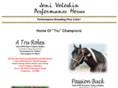 homozygouspainthorsestallions.com