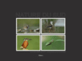 naturedusud.com