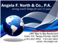 south-tampa-cpa.com