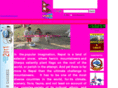 wellnepal.com