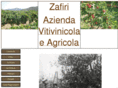 zafirivini.com