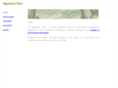 agustinahein.com
