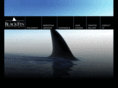 blackfinmarketinggroup.com