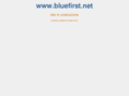 bluefirst.net