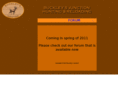 buckleysjunction.com