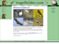 vogelbilder.com