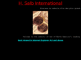 hsalb.com