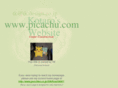 picachu.com
