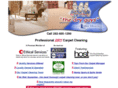 dryguyscarpetcleaning.com
