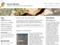 sprintmeister.com