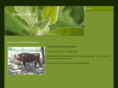 stoneperegrine.com