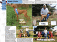 weglervizslas.com