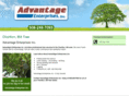 advantageenterprisesincma.com