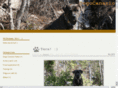 canariodogs.com