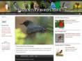 identifybirds.org