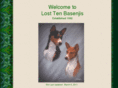 losttenbasenjis.com